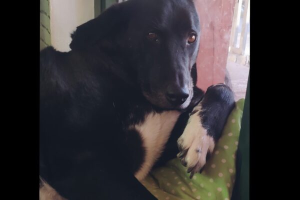 Przerwa świąteczno – noworoczna 23.12.2024 – 02.01.2025 r.