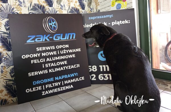 Szyldy UV dla Zak-Gum, Skała