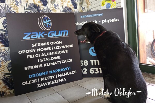 Szyldy UV dla Zak-Gum, Skała