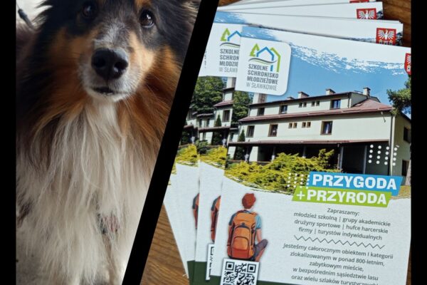 Ulotki reklamowe, SSM Sławków