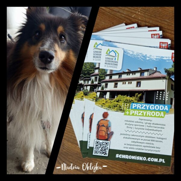 Ulotki reklamowe, SSM Sławków