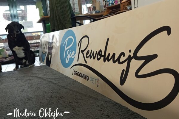 Szyld reklamowy, Psie Rewolucje – Katowice