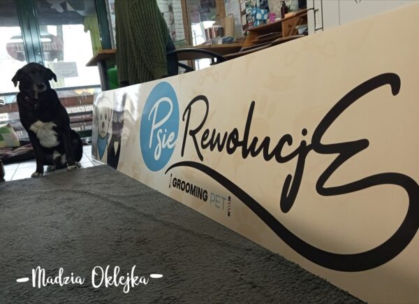 Szyld reklamowy, Psie Rewolucje – Katowice