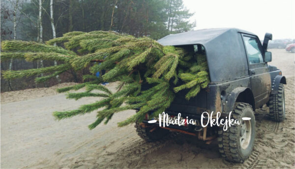 Przerwa świąteczno-noworoczna 22 grudnia – 6 stycznia :)