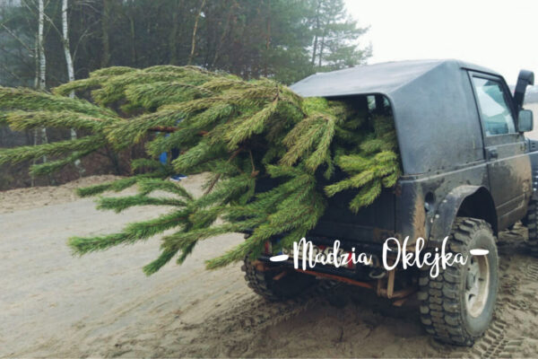 Przerwa świąteczno-noworoczna 22 grudnia – 6 stycznia :)